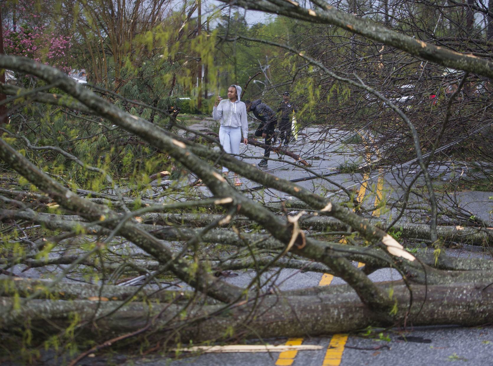 Tornado: Trees on road